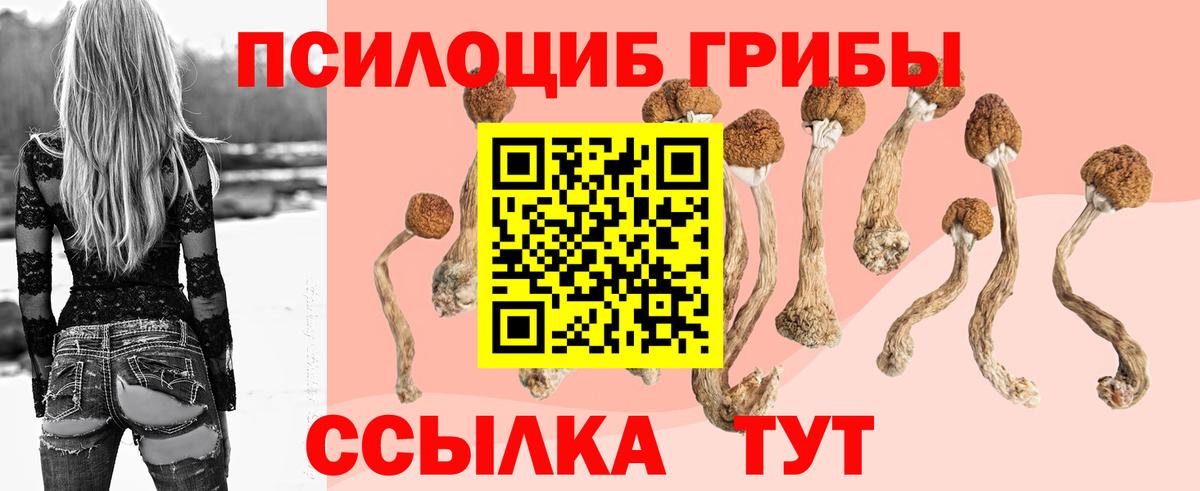 Реж  Псилоцибиновые грибы прущие грибы  Вход с VPN  Галлюциногенные грибы прущие грибы 