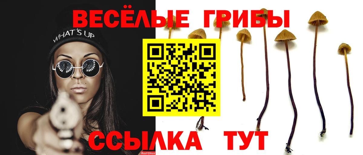 Псилоцибиновые грибы прущие грибы Реж