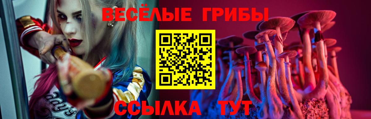 Псилоцибиновые грибы Реж